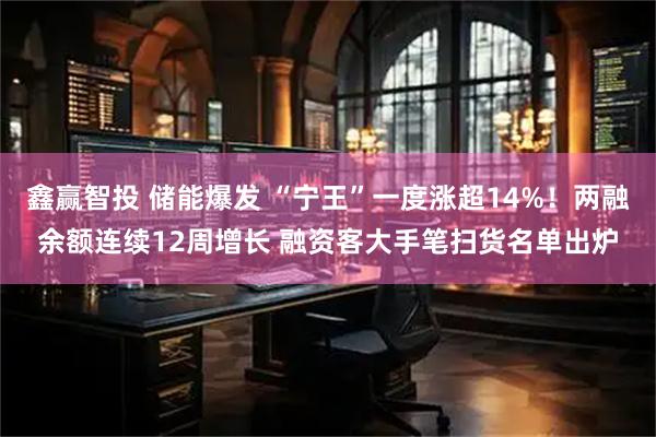 鑫赢智投 储能爆发 “宁王”一度涨超14%！两融余额连续12周增长 融资客大手笔扫货名单出炉
