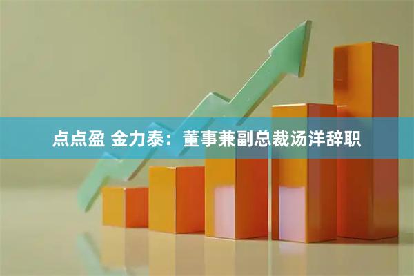 点点盈 金力泰：董事兼副总裁汤洋辞职