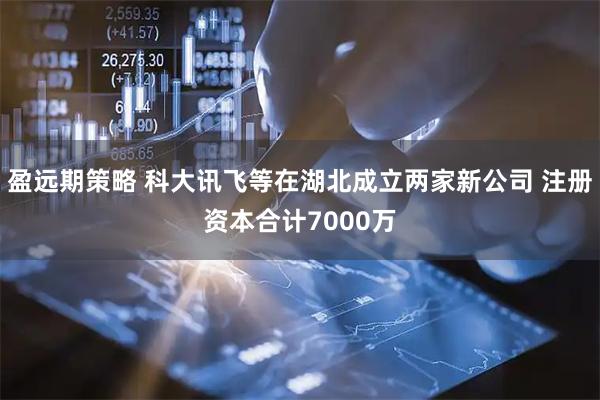盈远期策略 科大讯飞等在湖北成立两家新公司 注册资本合计7000万