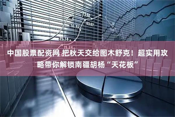 中国股票配资网 把秋天交给图木舒克！超实用攻略带你解锁南疆胡杨“天花板”