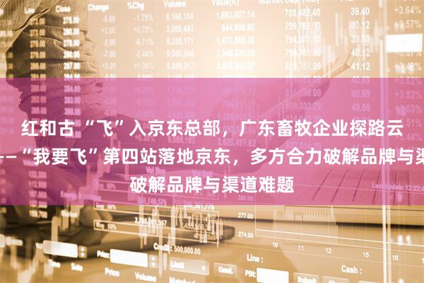 红和古 “飞”入京东总部，广东畜牧企业探路云端市场——“我要飞”第四站落地京东，多方合力破解品牌与渠道难题