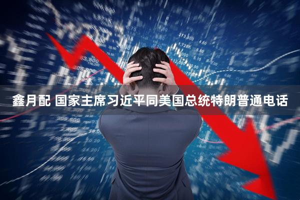 鑫月配 国家主席习近平同美国总统特朗普通电话