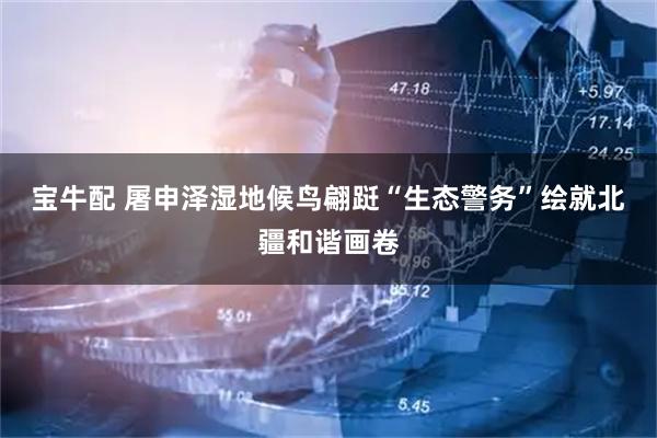 宝牛配 屠申泽湿地候鸟翩跹“生态警务”绘就北疆和谐画卷